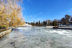 IMG_20230213_112304