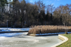 IMG_20230213_112705