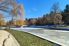 IMG_20230213_113918