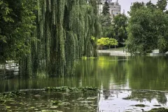 IMG_20250806_182742