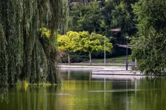 IMG_20250806_182746