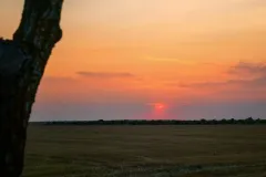 IMG_20250807_201138