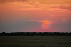IMG_20250807_201142