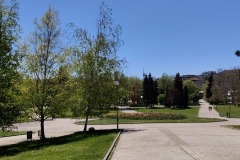 IMG20250429132310