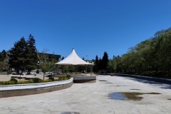 IMG20250429133254