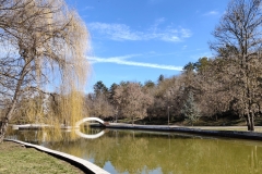 IMG20250306121751