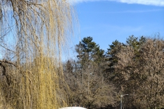 IMG20250306121756