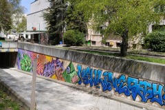 IMG20250416131836