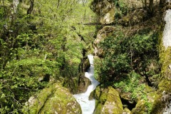 IMG20250420121759