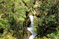 IMG20250420121802