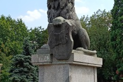 IMG20250627153910