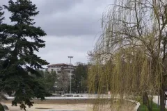 IMG20260320113458
