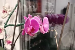 IMG20260315191855