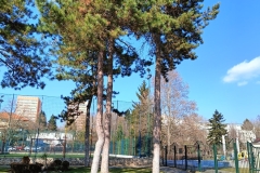 IMG20220221131530