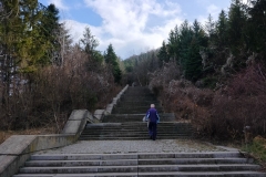 IMG20240210143110