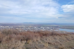 IMG20240210144838