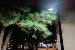 IMG20240212184536