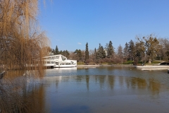 IMG20250207131010