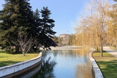IMG20250207131441