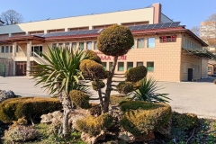 IMG20250207131936