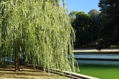 IMG20240701184551
