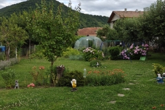 IMG20240703190731