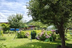 IMG20240704123624
