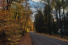 IMG20241116152854
