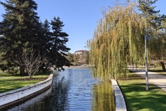 IMG20241118131240