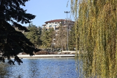 IMG20241118131243