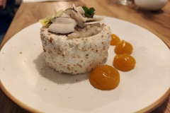 IMG20241122205200