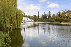 IMG20251110115316