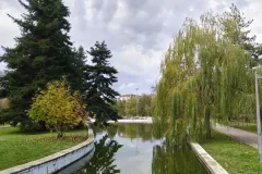 IMG20251110115748