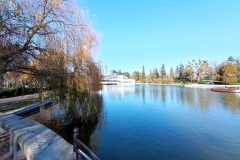 IMG_20211209_133833