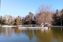 IMG_20211209_133848