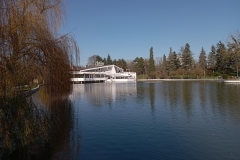 IMG_20211209_133902