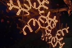 IMG_20211209_171429