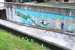 IMG_20210604_074403