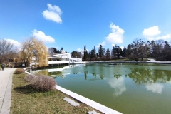 IMG_20220314_103649