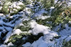 IMG_20260203_143439