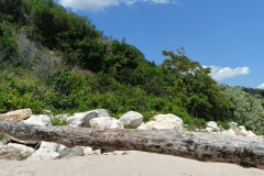 IMG20240602134602