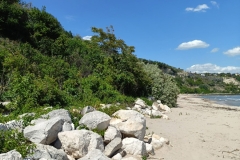 IMG20240602151533