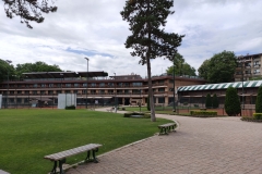 IMG_20220708_113255