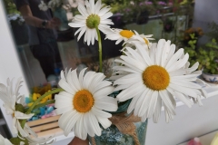 IMG_20230626_160256