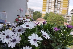 IMG_20230626_161313