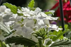 IMG_20260412_112308179_HDR
