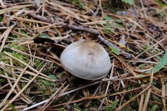 IMG_20221011_170912