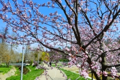IMG_20230320_122128
