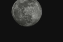 1708718128014