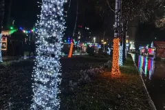 IMG_20251224_175248